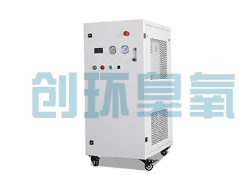 临沧石斑鱼养殖水质调控完整指南:臭氧发生器配置与操作步骤